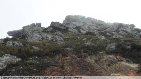 swartberg-pass-