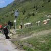 Ruta Moto d918--col-d-aspin- photo