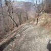 Moto Ruta d925-petis-cubes-- photo