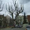 Moto Ruta c61--bv5301-arenys- photo