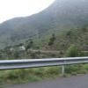 Ruta Moto gi614--roses-- photo