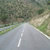 Ruta Moto gi614--roses-- photo