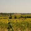 Ruta Moto d3--d88-- photo
