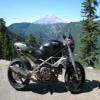 Moto Ruta wa-forest-road-25- photo