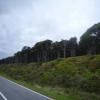 Moto Ruta 6--greymouth-- photo