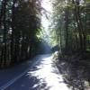 Ruta Moto taxiarhis--arnaia-holomondas-- photo