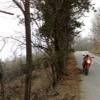 Ruta Moto taxiarhis--arnaia-holomondas-- photo