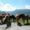 Ruta Moto na137--sigues-- photo