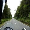 Moto Ruta 73--arthur-s-pass- photo