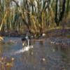Ruta Moto 77--halkida-- photo