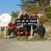Moto Ruta route-napoleon--n85- photo