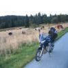 Ruta Moto d146--d61-- photo