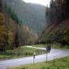 Ruta Moto b48--annweiler-- photo