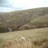 Moto Ruta a483--llandovery-- photo