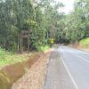 Ruta Moto cairns-tour--cairns- photo