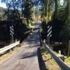 Moto Ruta lions-road--rathdowney- photo