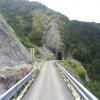 Ruta Moto monte-zoncolan--sp123- photo