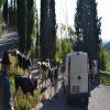Ruta Moto sacrario-del-monte-grappa- photo