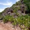 Moto Ruta n10-taroudannt--ouarzazate- photo