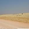 Moto Ruta walvis-bay-to-sesriem- photo