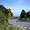 Moto Ruta coromandel-circuit-nz_ttc-3-- photo