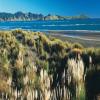 Moto Ruta hamilton-tour--raglan- photo