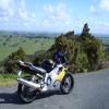 Motorcycle Road kaipara-to-leigh- photo