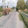 Ruta Moto babadag--murighiol-- photo