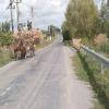 Moto Ruta babadag--murighiol-- photo