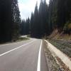 Moto Ruta dn67c--transalpina-- photo