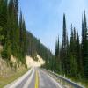 Moto Ruta idaho--montana-- photo