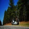 Ruta Moto sumter-national-forest-2- photo