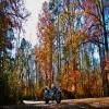 Moto Ruta sumter-national-forest-2- photo