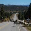 Ruta Moto us-84--us- photo