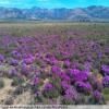 Moto Ruta breede-river-to-sutherland- photo