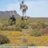 Ruta Moto breede-river-to-sutherland- photo