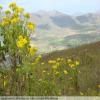Moto Ruta swartberg-pass- photo