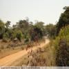 Moto Ruta backroad-from-bulawayo-to- photo