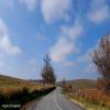 Ruta Moto 16-to-reghin- photo