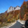 Moto Ruta dn74-dn74a-brad-campeni- photo