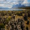 Moto Ruta torres-del-paine- photo