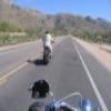 Moto Ruta mount-lemmon-highway-- photo