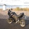 Motorcycle Traveller Avatar Image