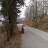 Ruta Moto taxiarhis--arnaia-holomondas-- photo